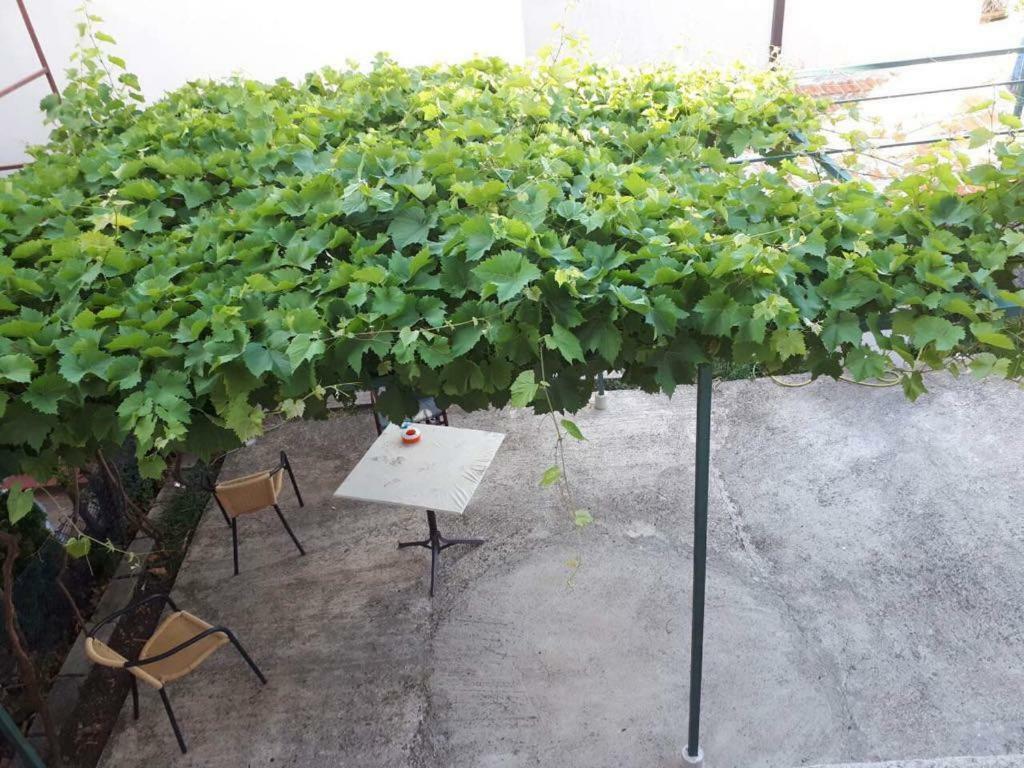 Vila Stojana Ξενοδοχείο Sutomore Εξωτερικό φωτογραφία